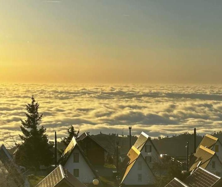 Chale Zimbro, Serra Da Estrela,